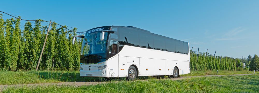 Stanglmeier Bus - S-167