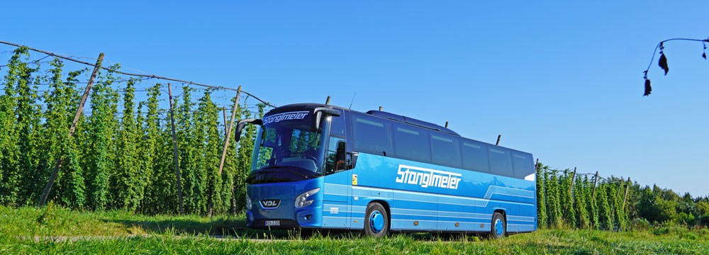 Stanglmeier Bus - S-320