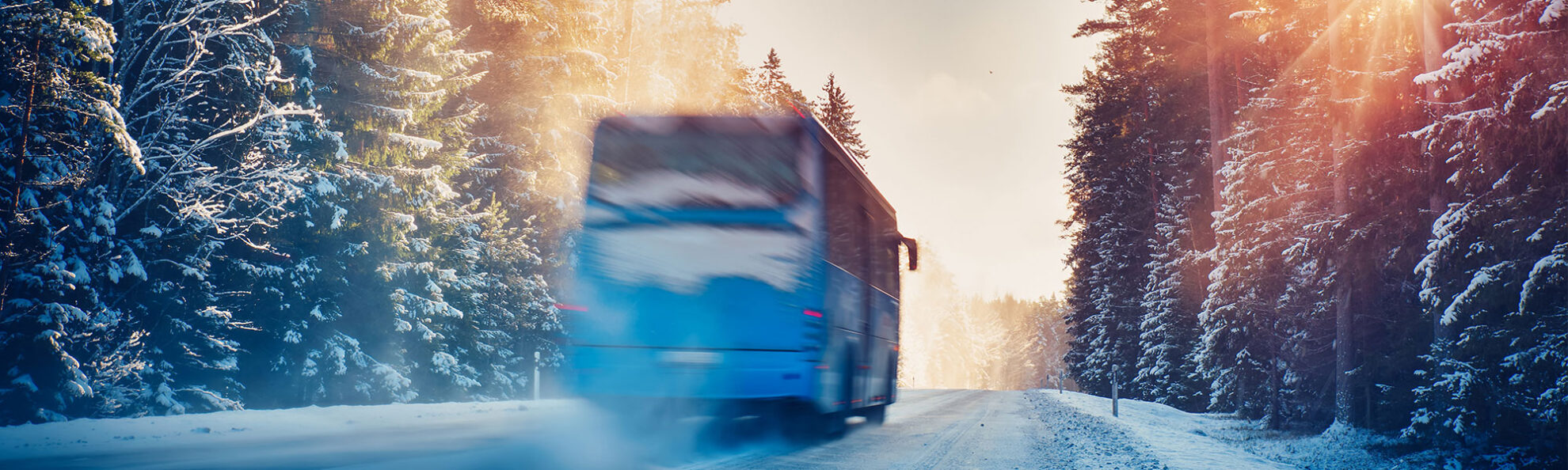 Stanglmeier Busreisen