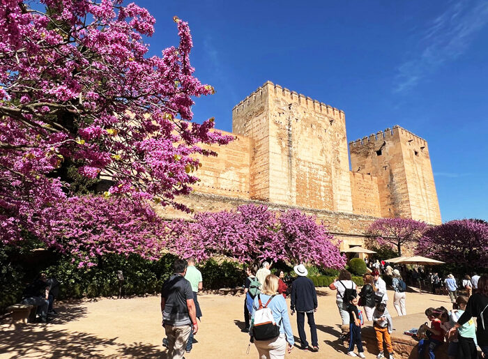 Foto unserer Reise "Semana Santa Andalusien" 2025 zu Ostern