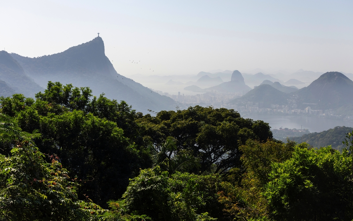 © vitormarigo/Shutterstock