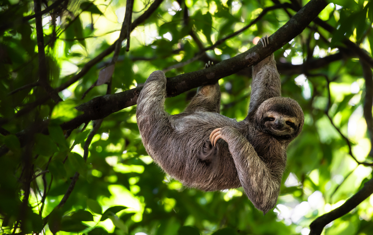 © Lukas Kovarik/Shutterstock