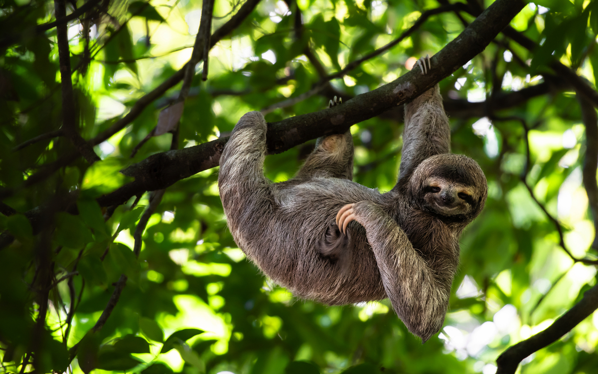 © Lukas Kovarik/Shutterstock
