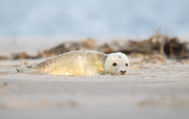 © 2022 Bildagentur Zoonar GmbH/Shutterstock.  