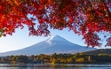 © IamDoctorEgg/Shutterstock