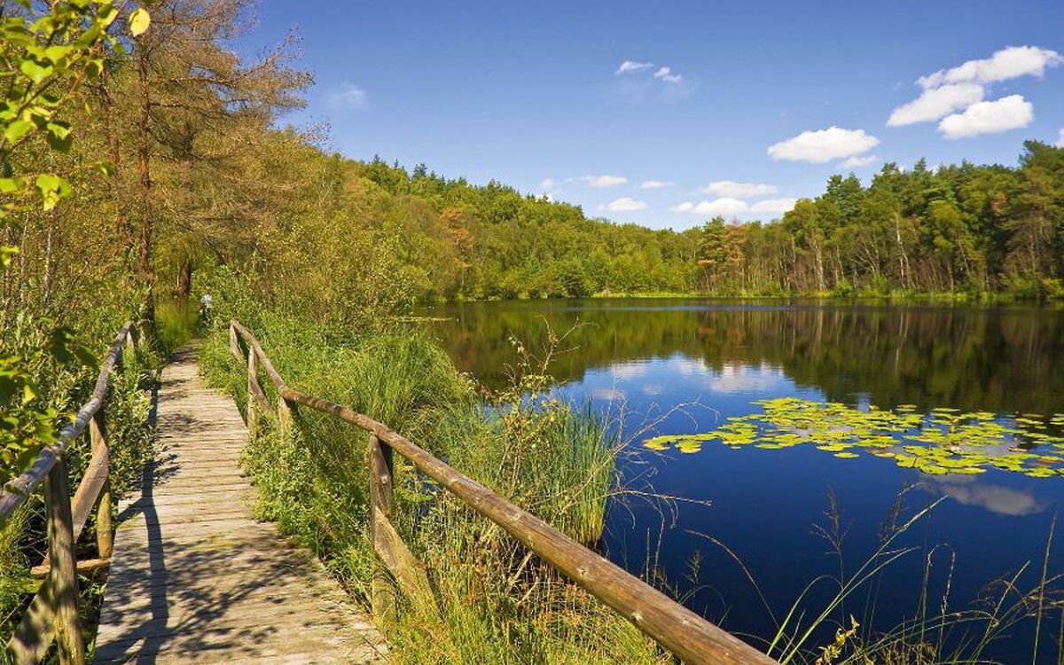 Wienpietschseen im Müritzer Nationalpark - © Heiko Zahn - Fotolia