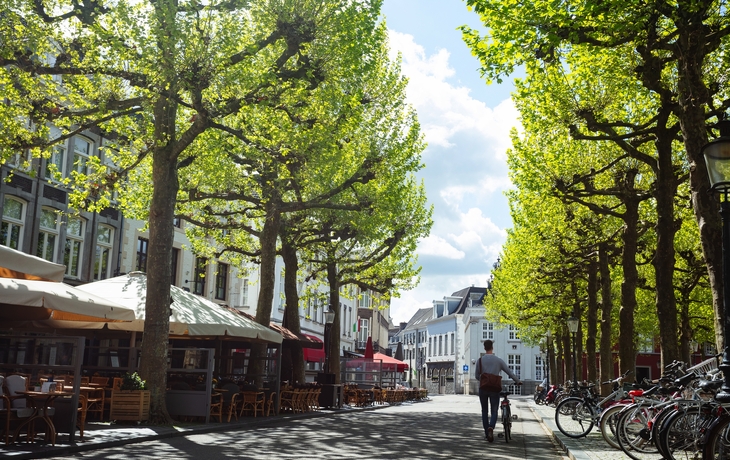 © Sergey Novikov/Shutterstock