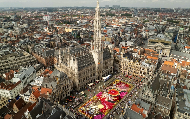 © asbl_FlowerCarpet_FabianDeBacker