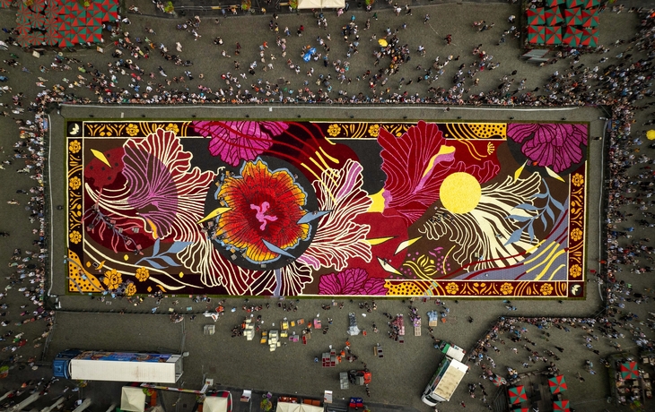 © asbl_FlowerCarpet_FabianDeBacker