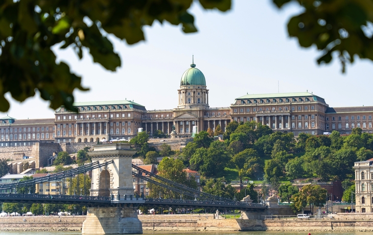 © ZenitX/Shutterstock