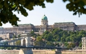 © ZenitX/Shutterstock