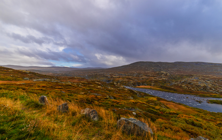 © Kurt-Georg Rabe/Shutterstock