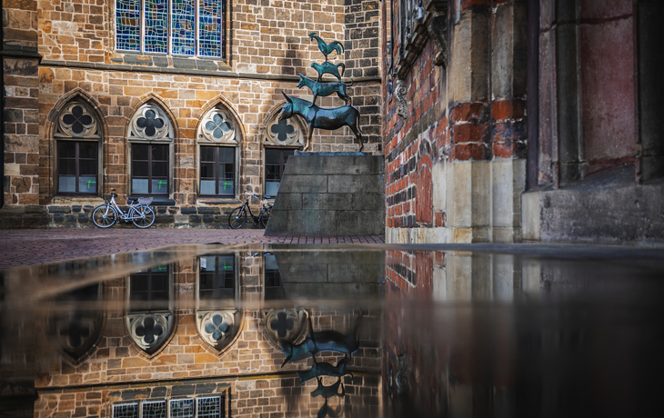 © WFB / Carina Tank