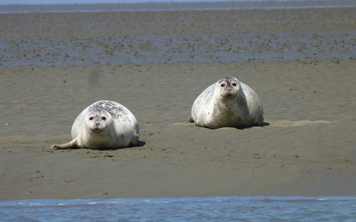 © Wasserwelt Bremerhaven