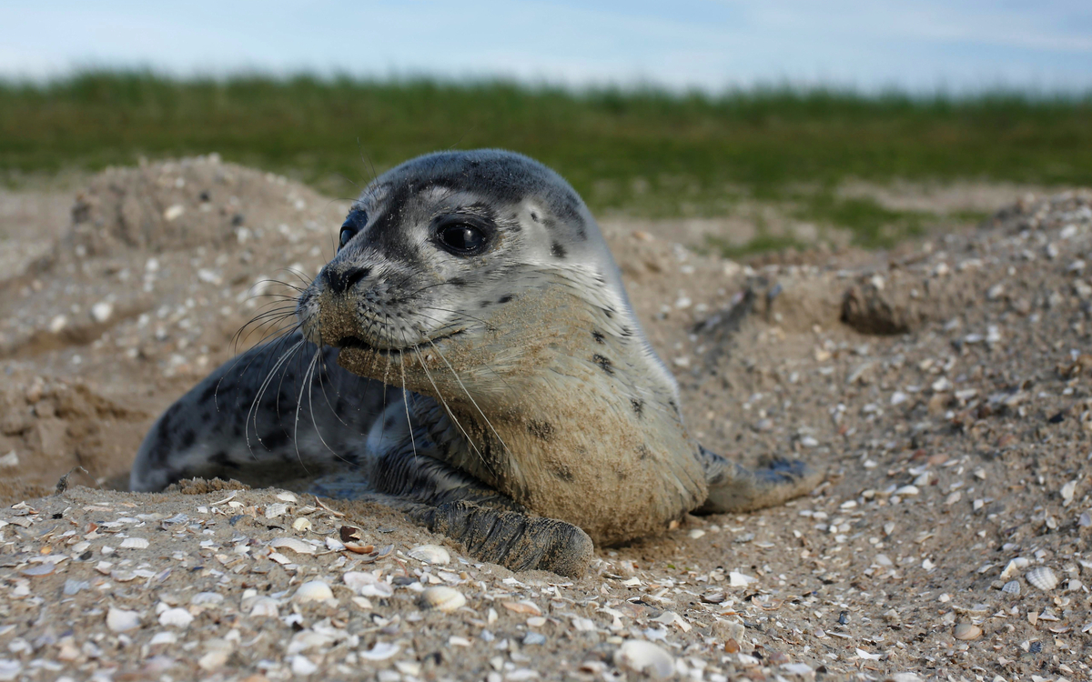 © imageBROKER.com/Shutterstock