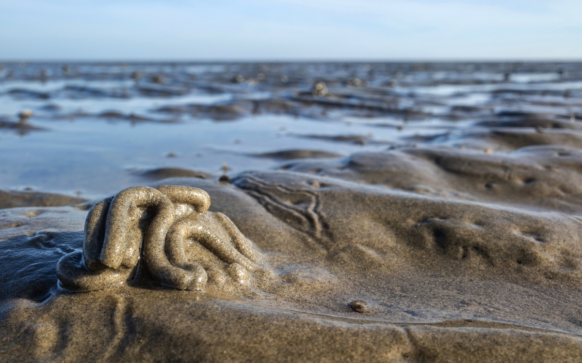 © Bjoern Wylezich/Shutterstock