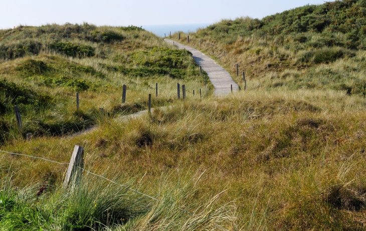 © Wirestock Creators/Shutterstock