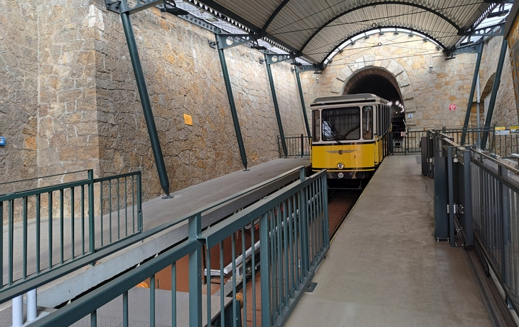 © Bybbisch94, CC BY 4.0, via Wikimedia Commons