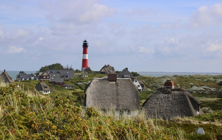 © JDMainz/Shutterstock