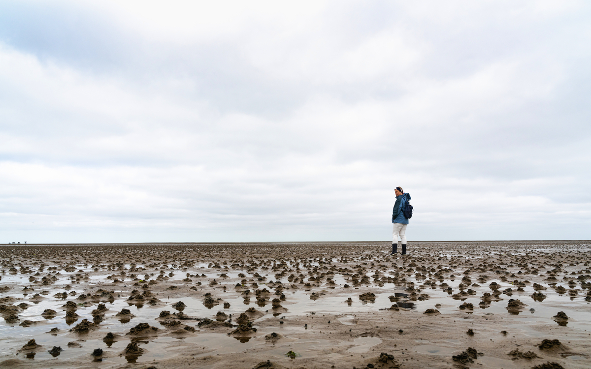 © Ryszard Filipowicz/Shutterstock