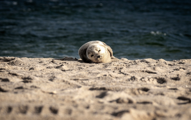 © Wirestock Creators/Shutterstock