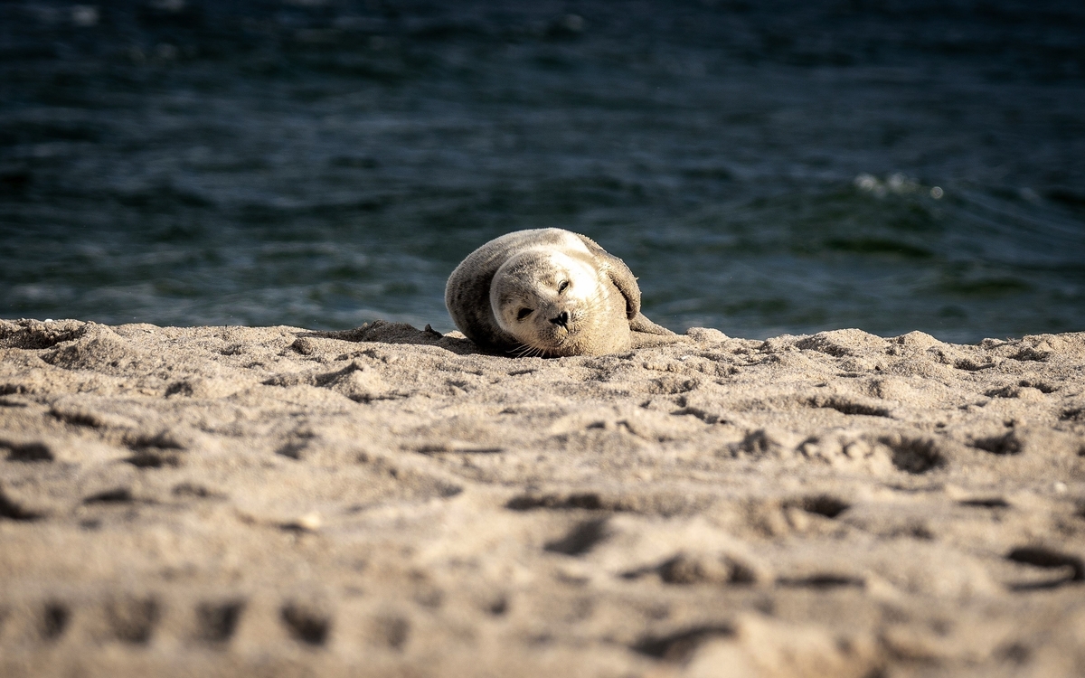 © Wirestock Creators/Shutterstock