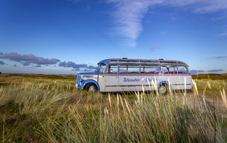 © SVG GmbH & Co. KG