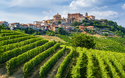 © e55evu - stock.adobe.com