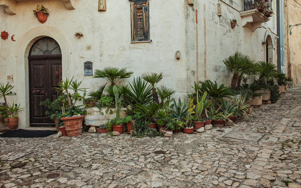 © vesi_127/Shutterstock