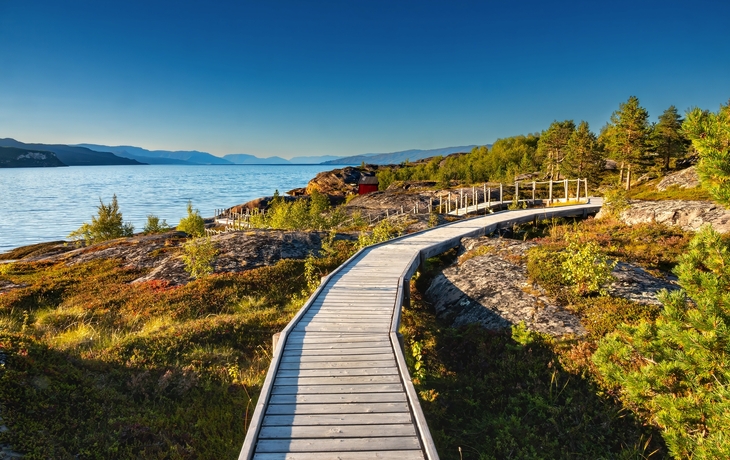 © LouieLea/Shutterstock