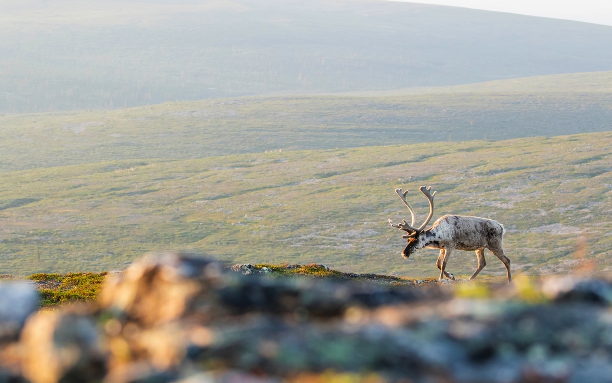 © Kersti Lindstrom/Shutterstock