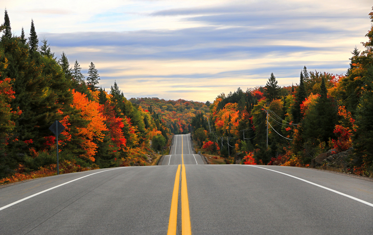 © Inga Locmele/Shutterstock