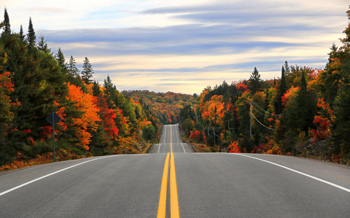 © Inga Locmele/Shutterstock