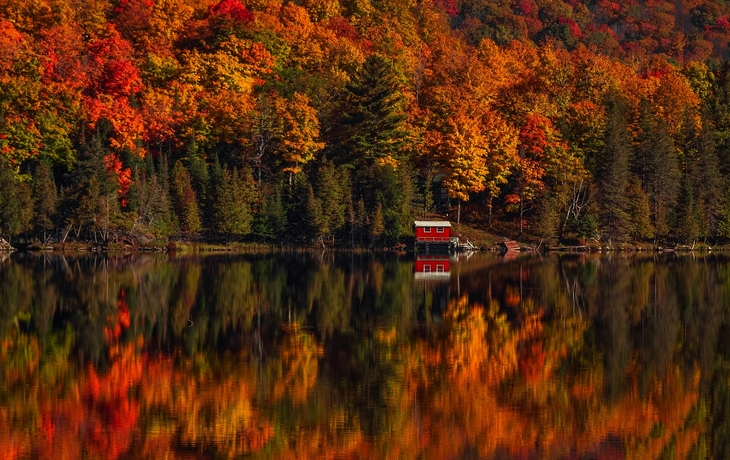 © Fiona M. Donnelly/Shutterstock