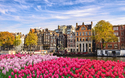© Noppasinw - stock.adobe.com