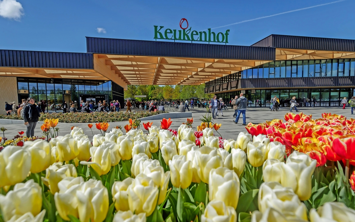 Keukenhof in den Niederlanden