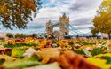© Sven Hansche/Shutterstock