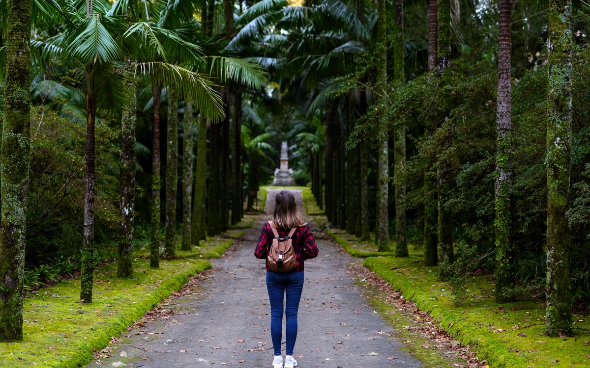 © Damian Lugowski/Shutterstock