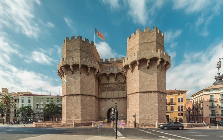 © Kirill Neiezhmakov/Shutterstock