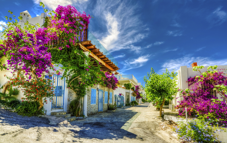 © Nejdet Duzen/Shutterstock