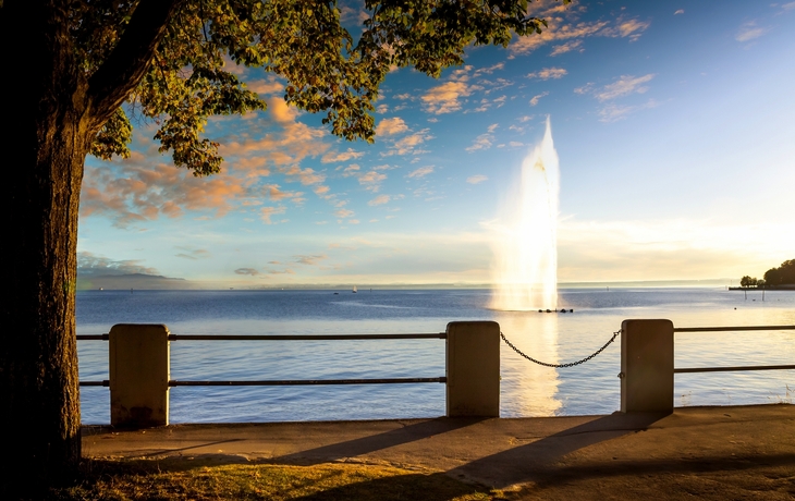 © Sina Ettmer Photography/Shutterstock