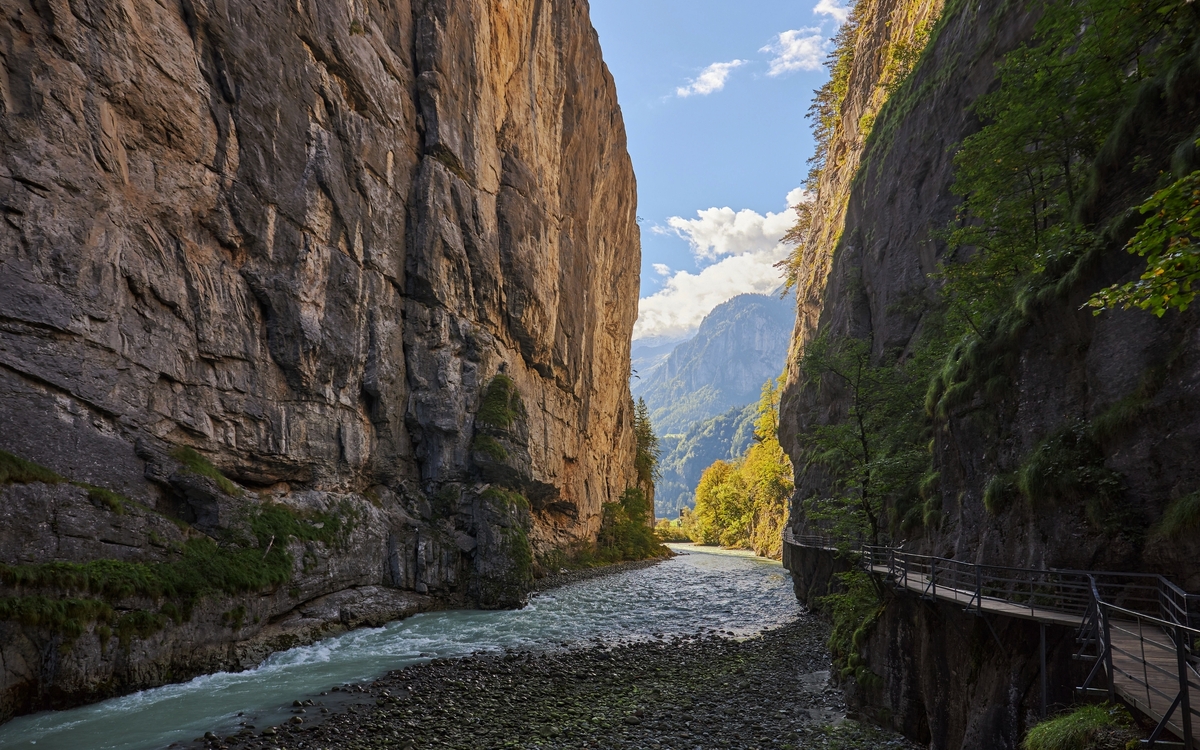 © Wirestock Creators/Shutterstock