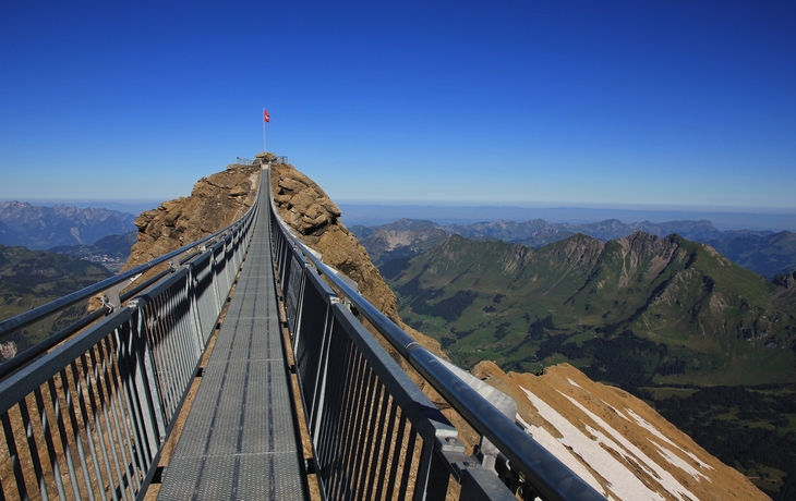 © Ursula Perreten/Shutterstock