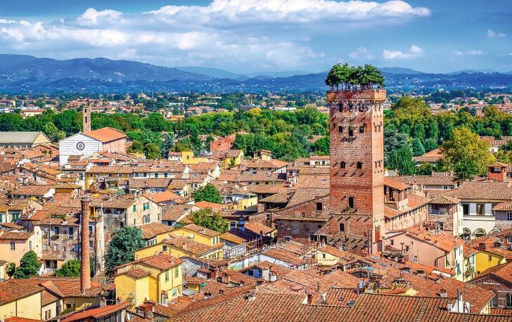 Scenic view of Lucca and Guinigi tower