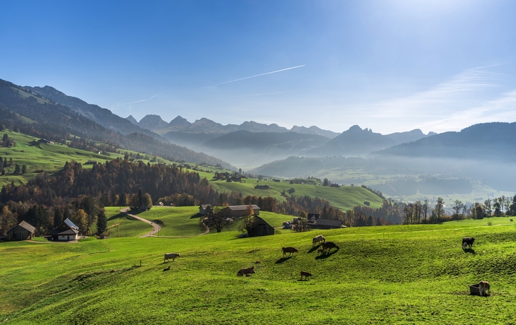 © Conny Pokorny/Shutterstock