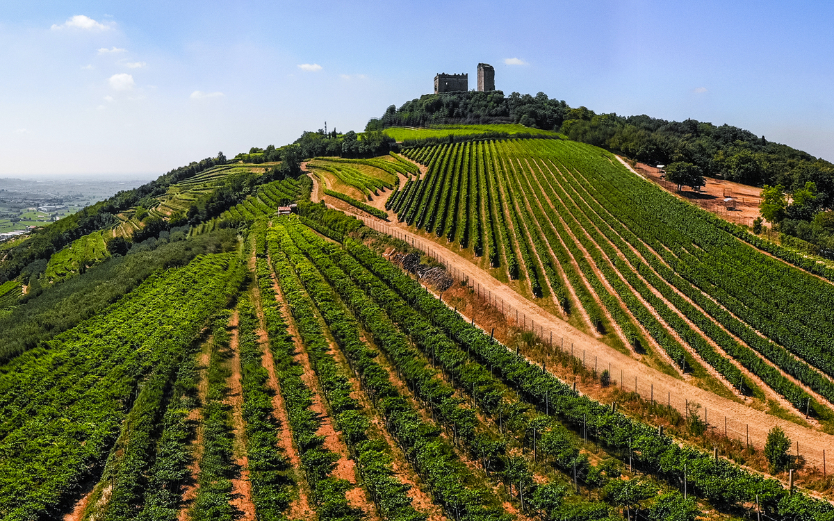 Luftaufnahme der Weinberge um Illasi in der Provinz Verona in Venetien, Italien - ©Julia Hermann - stock.adobe.com