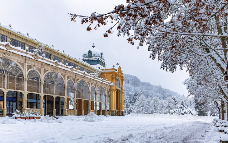 © Jiri Vanicek/Shutterstock