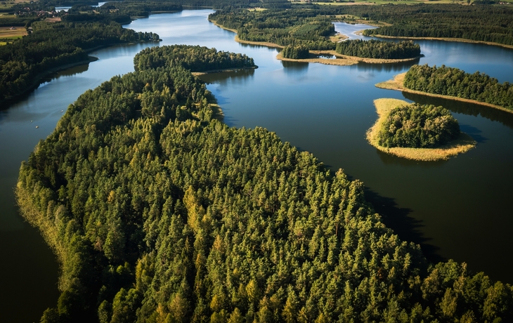 © Curioso.Photography/Shutterstock