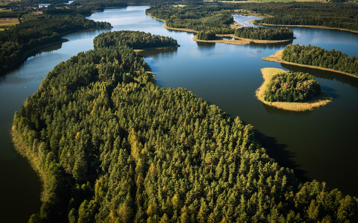 © Curioso.Photography/Shutterstock