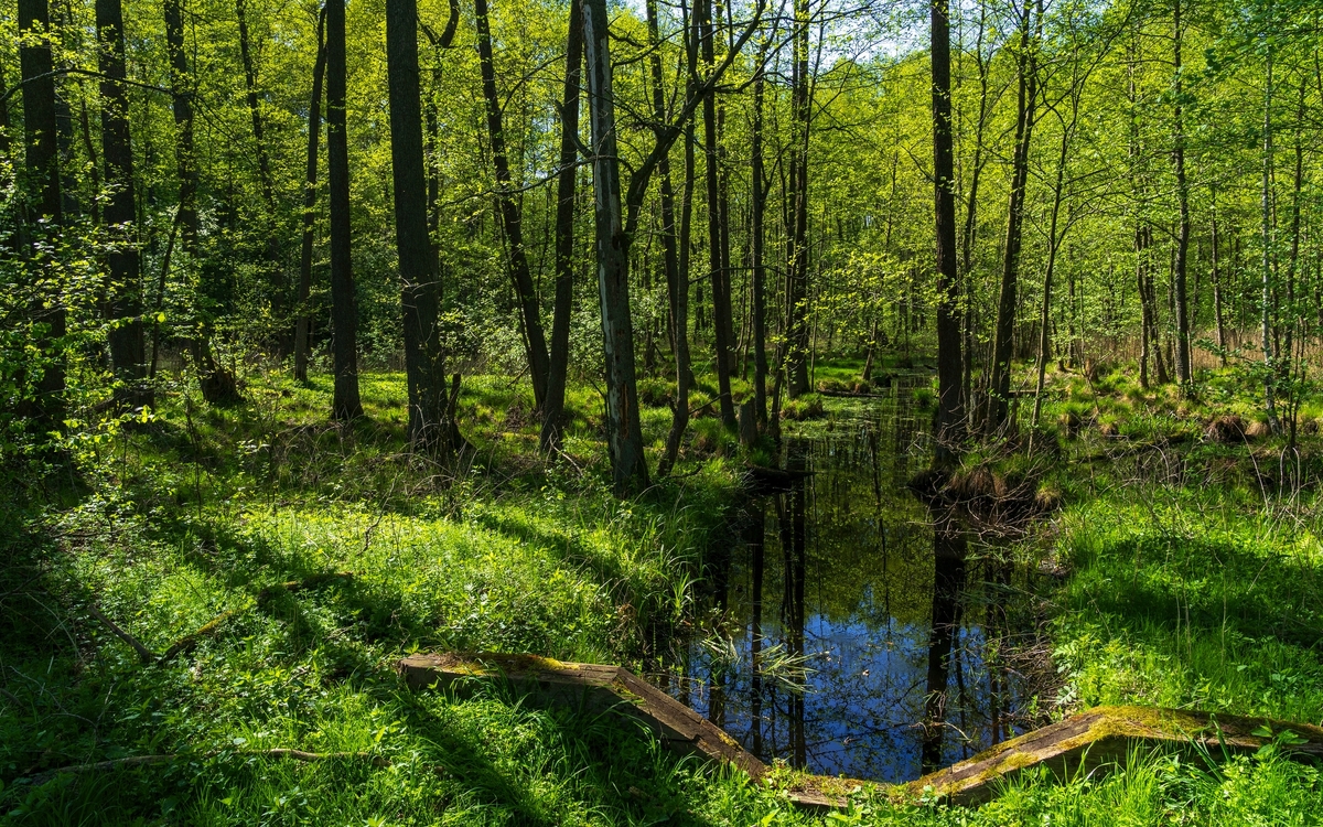 © Jacek Jacobi/Shutterstock